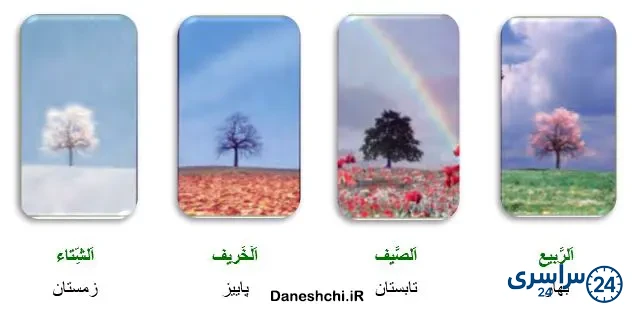 عربی 8 درس 1 تمرین 8