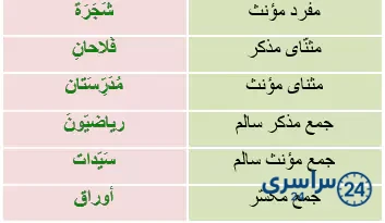 جواب تمرین درس اول عربی 9 صفحه 19