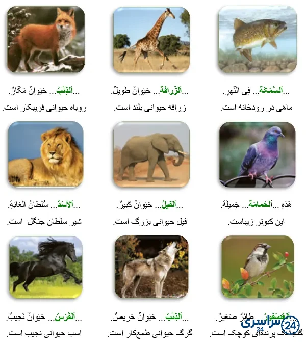جواب تمرین صفحه 70 عربی نهم