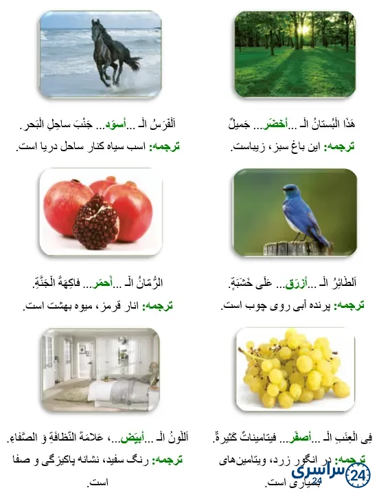 جواب تمرین صفحه 118 عربی نهم
