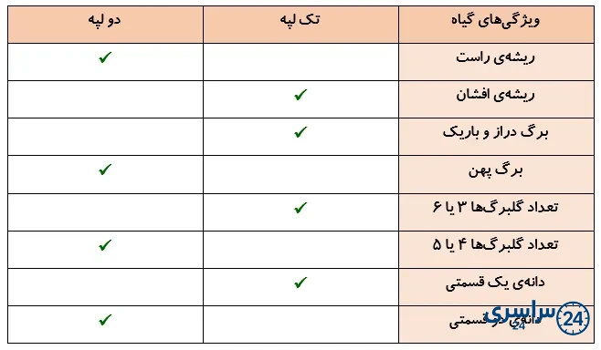 جواب فعالیت صفحه 105 درس 12 علوم چهارم