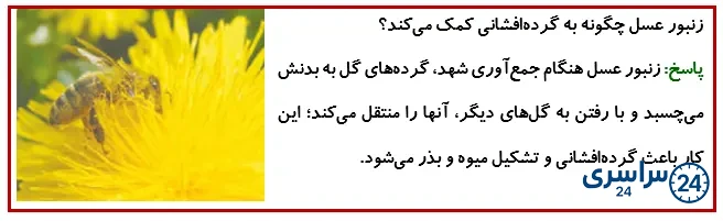 جواب فکر کنید صفحه 107 درس 12 علوم چهارم