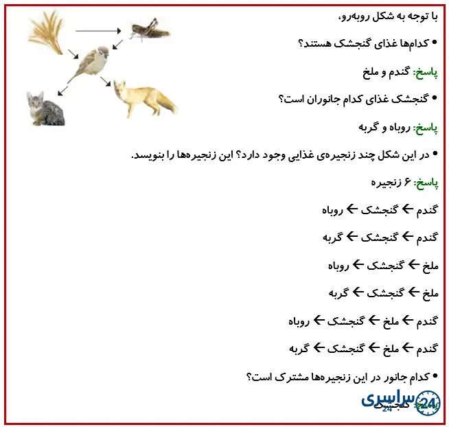 جواب فعالیت صفحه 115 درس 13 علوم چهارم