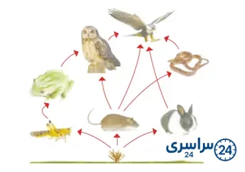جواب فکر کنید صفحه 116 درس 13 علوم چهارم