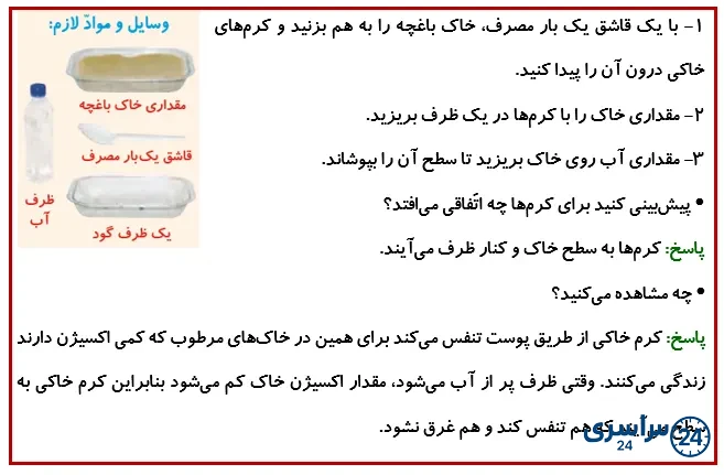 جواب فعالیت صفحه 116 درس 13 علوم چهارم