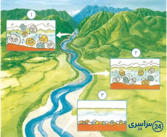 جواب گفتوگو کنید صفحه 50 درس ششم علوم 4