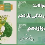 پاسخ سوالات درس دوازدهم دین و زندگی یازدهم پیوند مقدس