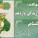 پاسخ سوالات درس ششم دین و زندگی یازدهم پیشوایان اسوه