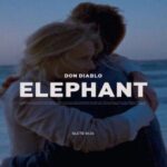 آهنگ خارجی Elephant از Don Diablo