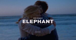 دانلود آهنگ Elephant از Don Diablo با کیفیت 320، پخش آنلاین و لینک مستقیم