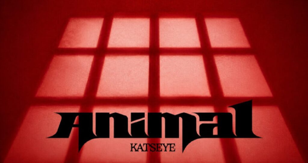 آهنگ Animal از KATSEYE