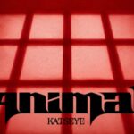 آهنگ Animal از KATSEYE