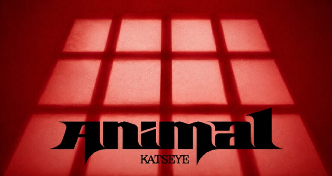 آهنگ Animal از KATSEYE