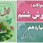 پاسخ سوالات درس چهاردهم نگارش ششم رازِ زندگی