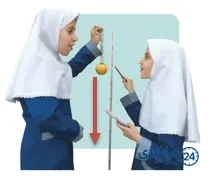 جواب فعالیت صفحه 88 علوم سوم
