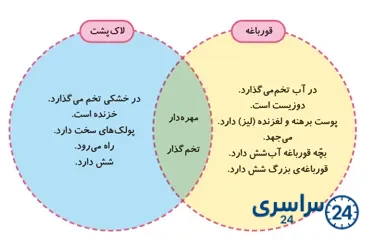 جواب فعالیت صفحه 124 علوم سوم
