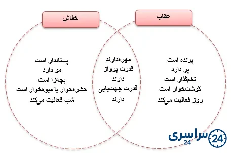 جواب فعالیت صفحه 124 علوم سوم