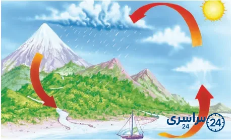 جواب فعالیت صفحه 46 علوم سوم