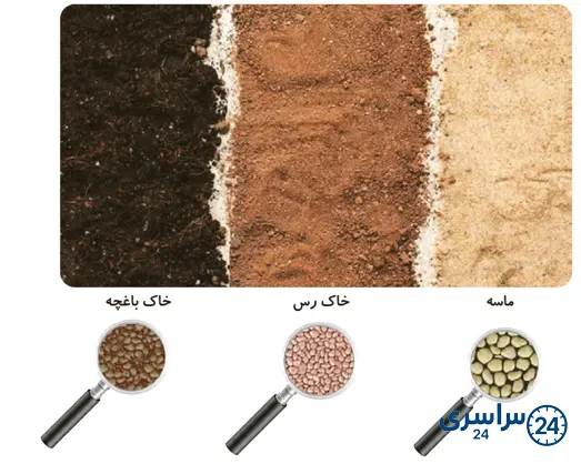 جواب مقایسه صفحه 55 علوم سوم