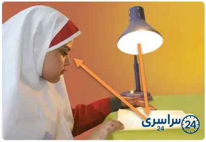جواب فعالیت صفحه 66 علوم سوم