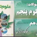پاسخ سوالات درس دهم علوم پنجم خاک با ارزش