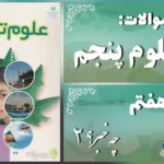 پاسخ سوالات درس هفتم علوم پنجم چه خبر؟ (2)