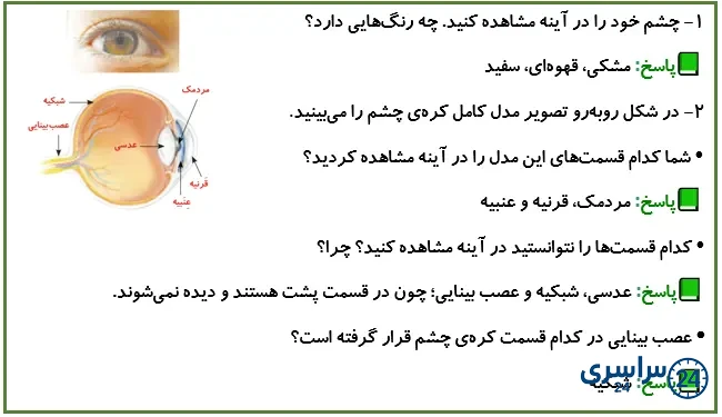 جواب فعالیت صفحه 46 علوم پنجم