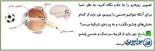 جواب گفتوگو صفحه 47 علوم پنجم