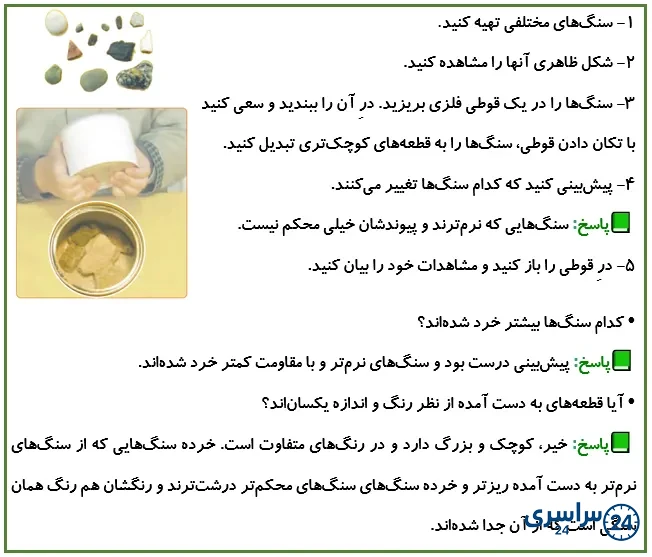 جواب فعالیت صفحه 80 علوم پنجم