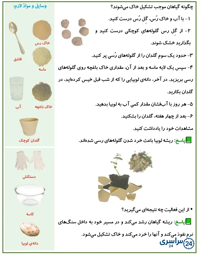 جواب کاوشگری صفحه 81 علوم پنجم