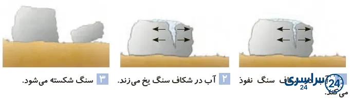 جواب گفتوگو صفحه 83 علوم پنجم