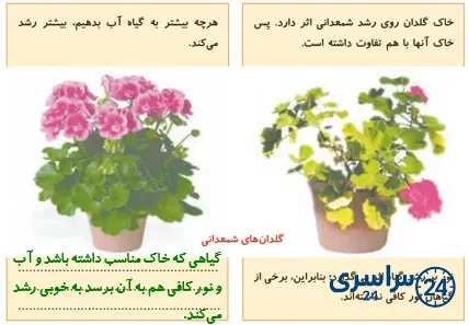 جواب سؤال صفحه 90 علوم پنجم