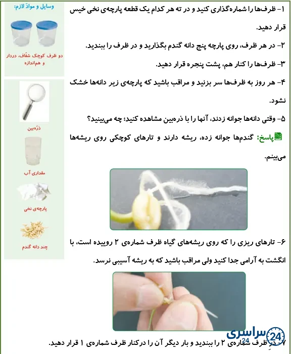 جواب کاوشگری صفحه 100 علوم پنجم