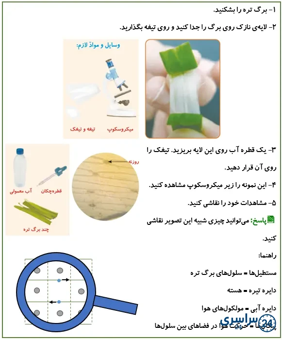 جواب فعالیت صفحه 103 علوم پنجم
