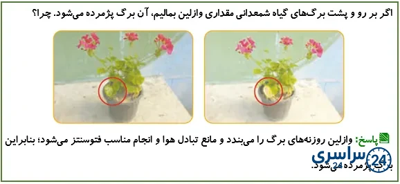 جواب فکر کنید صفحه 104 علوم پنجم