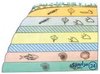 جواب گفت‌وگو صفحه 32 علوم پنجم