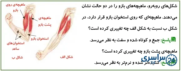 جواب سؤال صفحه 37 علوم پنجم