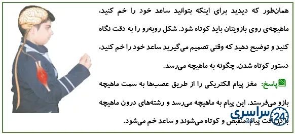 جواب گفت‌وگو صفحه 44 علوم پنجم