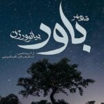 آهنگ ورژن پیانو باور از شادمهر