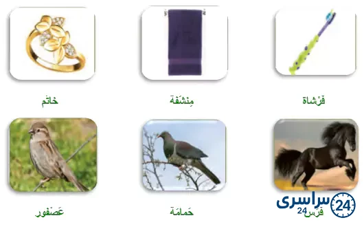 جواب تمرین صفحه 118 عربی هشتم