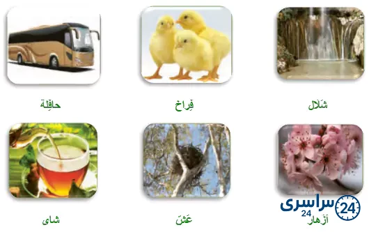 جواب تمرین صفحه 118 عربی هشتم