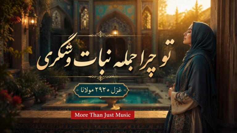 تو چرا جمله نبات و شکری