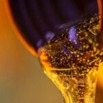 فساد روغن هیدرولیک فرمان