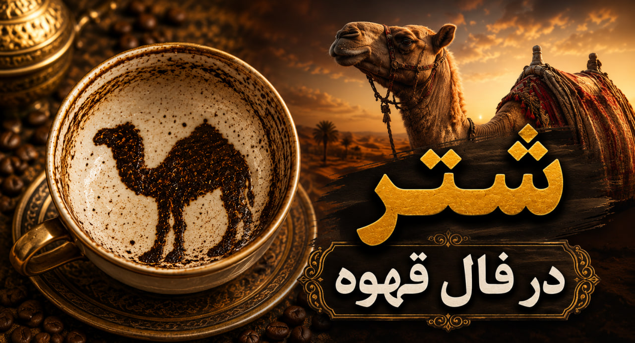 شتر در فال قهوه