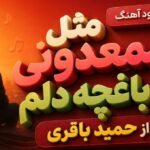 مثل شمعدونی تو باغچه دلم از حمید باقری