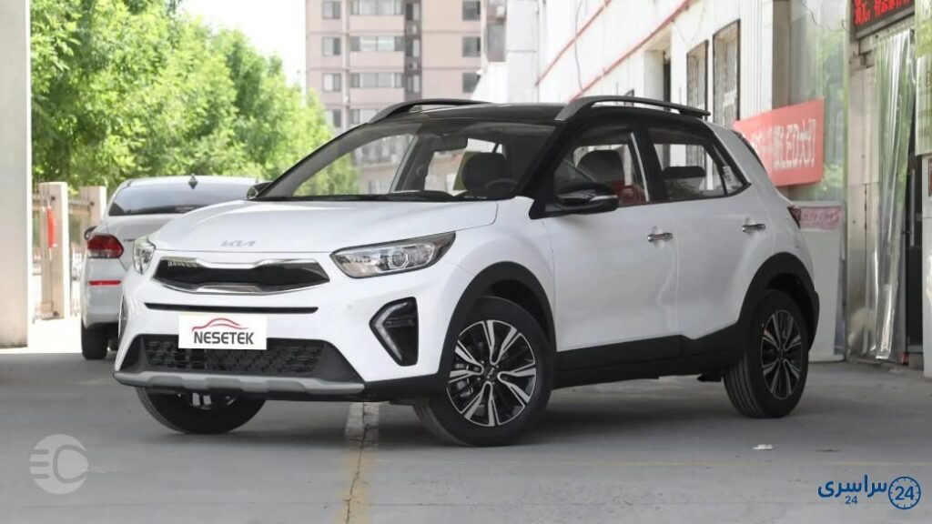 بررسی کیا استونیک