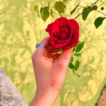 عکس گل در دست دختر طبیعی