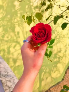 عکس گل در دست دختر طبیعی