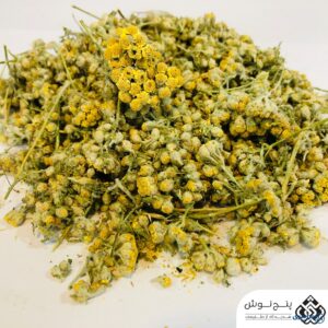 عکس گل بومادران