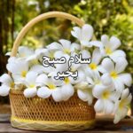 عکس صبح بخیر